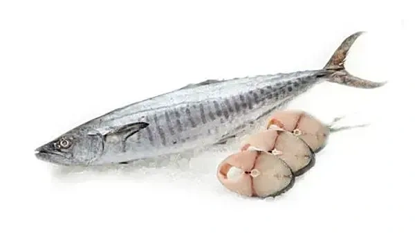 Fish - King Fish / Maral