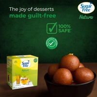 Sugar Free Natura, 100 bags - 100 bags
