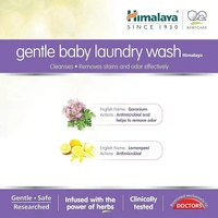 Himalaya Gentle Baby Laundry Wash, 500 ml - 500 ml