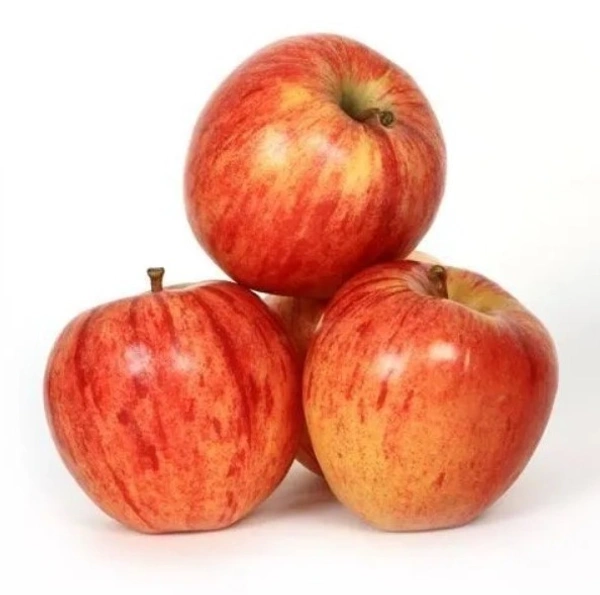 Orange - Valencia 500g - 1Kg, 1Kg