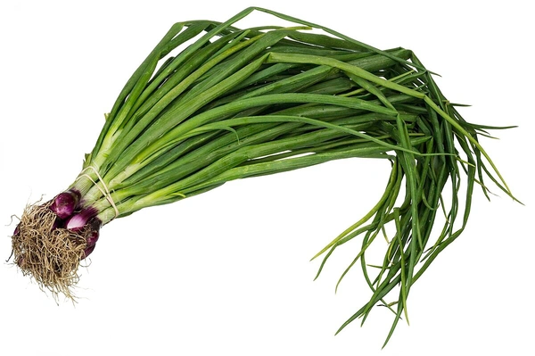 Spring Onion 100g - 100g