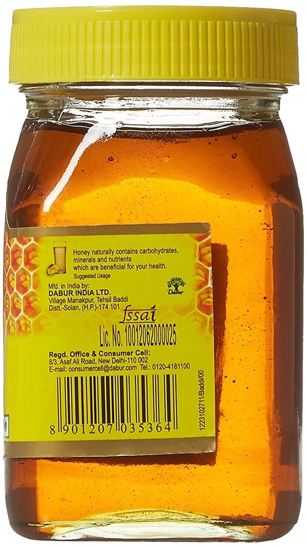 Dabur Honey Purity Guaranteed, 250g - 250g