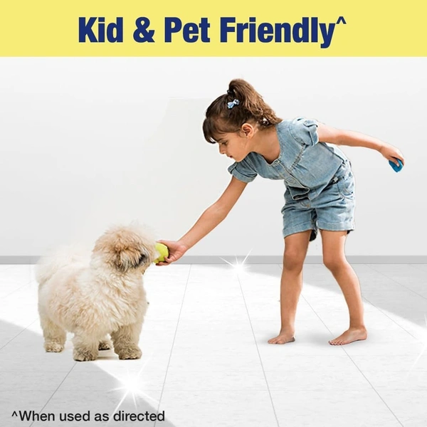 Lizol Disinfectant Surface& Floor Cleaner Liquid Lavender, 500 ml - 500 ml