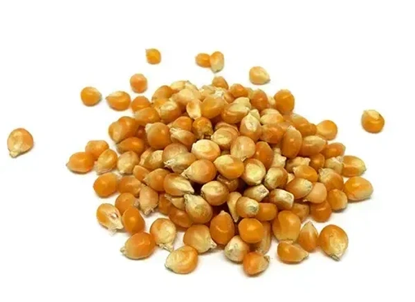 Popcorn Kernels, 100g - 100g