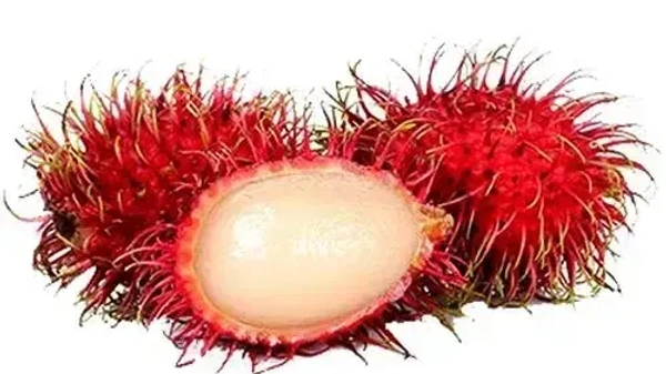 Ramputtan - 500g - 500g