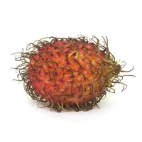 Ramputtan - 500g - 500g