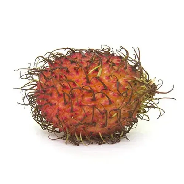 Ramputtan - 500g - 500g