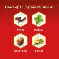 Dabur Red Paste For Teeth& Gum, 200g - 200g