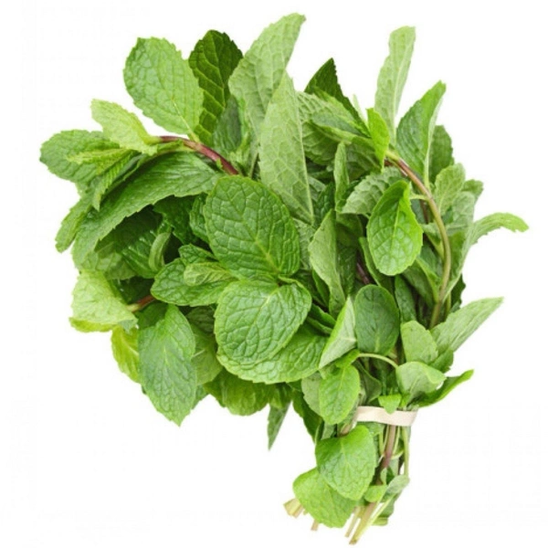 Mint Leaves ( Pudina )