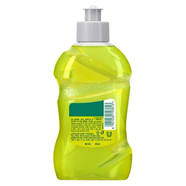 Vim Dishwash Liquid Extra Anti Smell with Pudina Bottle, 250 ml - 250 ml