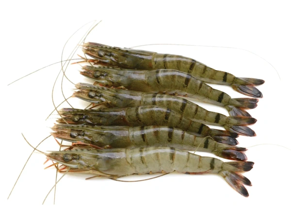 Prawns - Tiger - 500gm