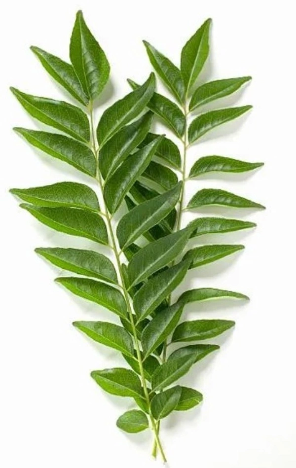 Curry Leaves - 1 Pack (50g) - 50g