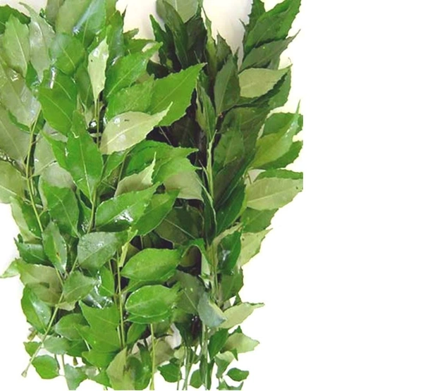 Curry Leaves - 1 Pack (50g) - 50g