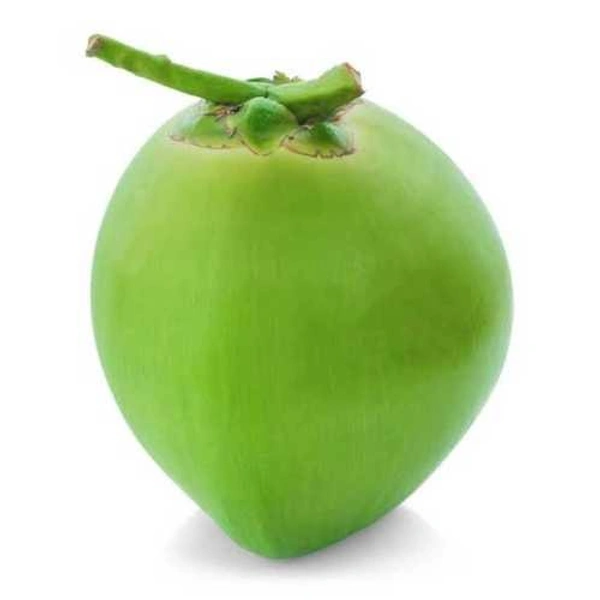 Tender Coconut (Elaneer) 1 Pc - 1 Pc