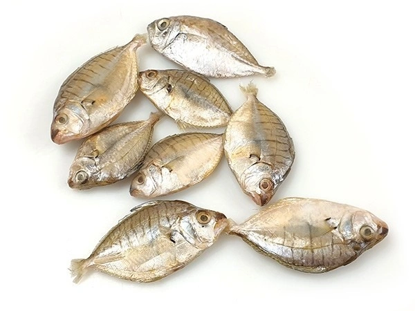 Fish - Mullan