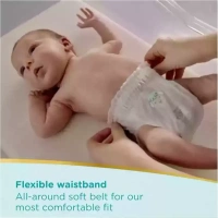 Pampers Diapers Premium Care Pants Medium, 54 pants