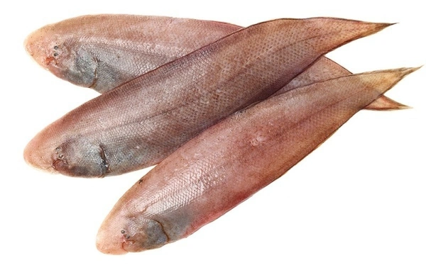 Sole Fish / Manthal / Repti, 500g - 500g