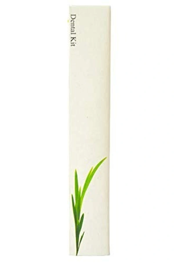 dntal kit - white