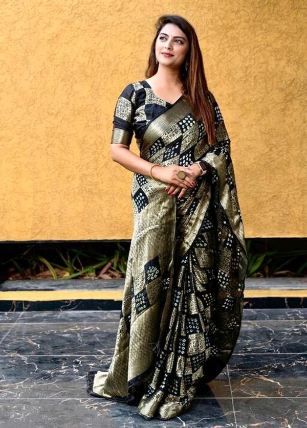Fabulous Saree
