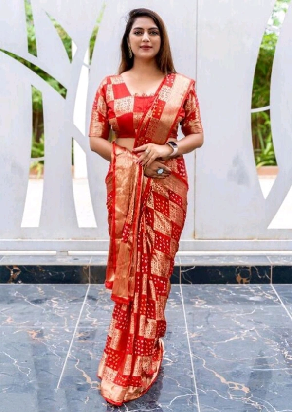 Fabulous Saree