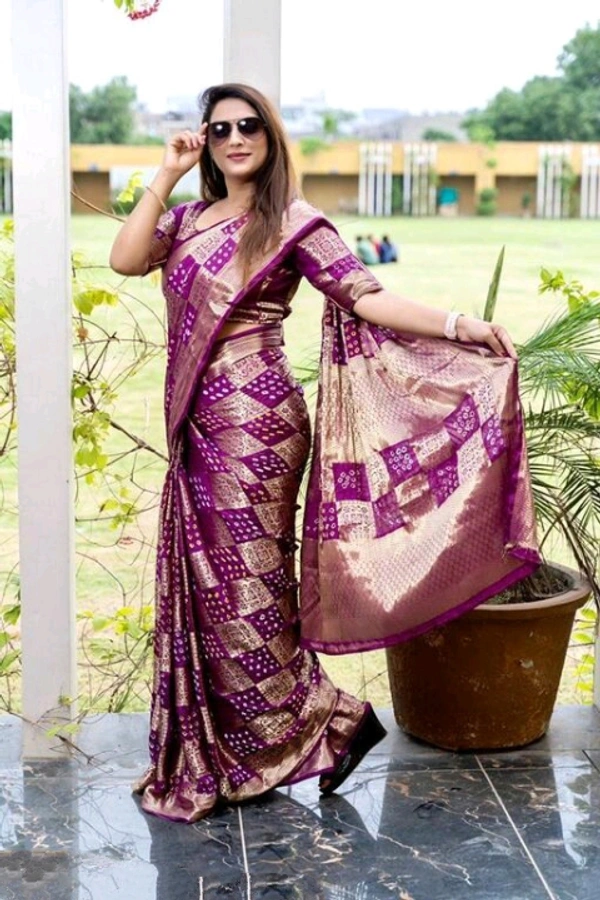 Fabulous Saree