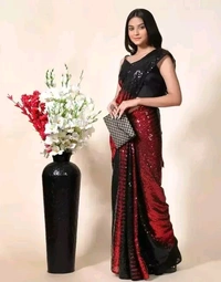 Sequence Work Saree