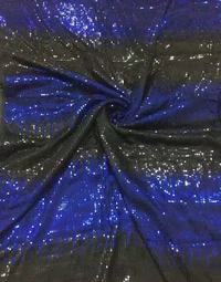 Sequence Work Saree