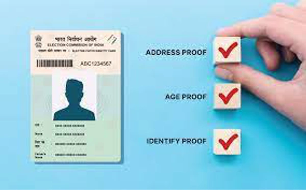 Voter Enrollment And Correction 