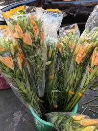 Orange Lilies  - orange