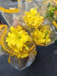 Yellow Lillies  - Yellow