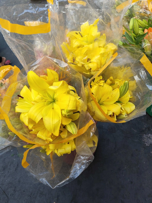 Yellow Lillies  - Yellow