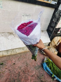 DARK PINK SHAWATI / Double White  - Brick Red