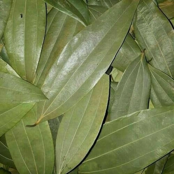 Tejpata