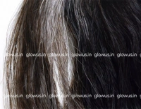 Matrix Wonder Ammonia Free Hair Color 2N 90ML | Rich Natural Black Hair Dye | Grey Coverage | Long-Lasting Salon Hair Colour for Smooth & Shiny Hair - 90g