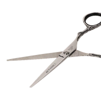 AYTY Pro AYTY PRO Classic Pro Hair Cutting Scissors 5.5" & 6" | Premium Stainless Steel Barber Shears | Salon & Home Use | Razor-Sharp Blades | Ergonomic Design