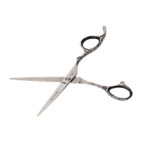 AYTY Pro AYTY PRO Classic Pro Hair Cutting Scissors 5.5" & 6" | Premium Stainless Steel Barber Shears | Salon & Home Use | Razor-Sharp Blades | Ergonomic Design