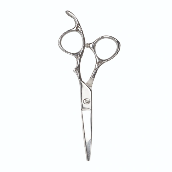 AYTY Pro AYTY PRO Classic Pro Hair Cutting Scissors 5.5" & 6" | Premium Stainless Steel Barber Shears | Salon & Home Use | Razor-Sharp Blades | Ergonomic Design