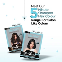 Bblunt Natural Black 5-Minute Shampoo Hair Colour 100ml | Nourished & Shine Hair| Quick, Long-Lasting Colour | 100% Covers Grey & Adds Shine | Easy & Mess-Free Application