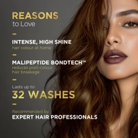 Bblunt BBLUNT Salon Secret High Shine Conditioning Hair Colour Honey Light Golden Brown 5.32 | With MaliPeptide BondTech� | No Ammonia, 100% Grey Coverage, Long Lasting | Salon-Like Shine at Home