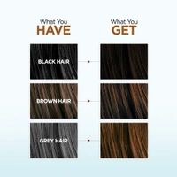 Bblunt BBLUNT Salon Secret High Shine Creme Hair Colour in( Honey Light Golden Brown ) | Ammonia-Free | Light Golden Brown Hair Dye for Natural Sun-Kissed Look | Shine Tonic hair color | Natural-looking brown | 100g
