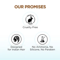 Bblunt BBLUNT Salon Secret High Shine Creme Hair Colour in( Honey Light Golden Brown ) | Ammonia-Free | Light Golden Brown Hair Dye for Natural Sun-Kissed Look | Shine Tonic hair color | Natural-looking brown | 100g