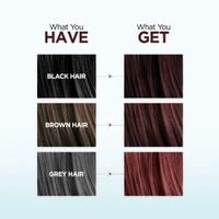 Bblunt Salon Secret High Shine Creme Hair Colour 100g| Mahogany Reddish Brown | Ammonia-Free | Long-Lasting |8ml Shine Tonic for Salon-Like Glossy Hair