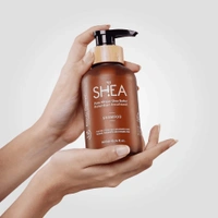 Beauty Garage African Shea Butter Shampoo 300ml | Sulphate Free Shampoo with Argan & Macadamia Oil | Smooth Shield Retention for Dry, Frizzy & Damaged Hair