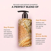 De Fabulous Reviver Hair Repair Shampoo 250ml | Repairs Dry & Frizzy Hair, Sulfate-Free, pH Balanced Formula | Nourishes & Strengthens | Suitable for All Hair Types