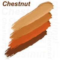 Forever52 Forever 52 Daily Life 4 Color Concealer | Versatile Concealer Palette | Flawless Coverage | Long-Lasting | Natural Finish | Lightweight | blendable texture | for All Skin Types | AC003 , 12g