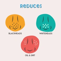 Furr Charcoal Nose Strips (3 Pack) | Blackhead & Oil Removal | Enriched with Aloe Vera & Tea Tree Oil | Deep Pore Cleansing | Gentle on Skin |