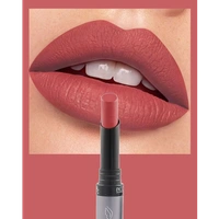 Incolor Lipfinity Non-Transfer Lipstick Shade 11 |  Intense Matte Finish | Long-Lasting Wear | Smudge-Proof & Lightweight Texture | Hydrating Formula & Travel-Friendly Size