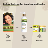 Indus Valley INDUS VALLEY Damage Free Natural Gel Hair Colour 220ml Dark Brown 3.00 for Women & Men | 100% Grey Coverage | Ammonia & PPD Free Herbal Organic Conditioning Hair Color