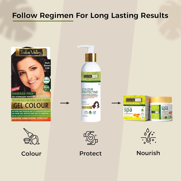 Indus Valley INDUS VALLEY Damage Free Natural Gel Hair Colour 220ml Dark Brown 3.00 for Women & Men | 100% Grey Coverage | Ammonia & PPD Free Herbal Organic Conditioning Hair Color