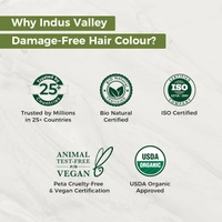 Indus Valley INDUS VALLEY Damage Free Natural Gel Hair Colour 220ml Dark Brown 3.00 for Women & Men | 100% Grey Coverage | Ammonia & PPD Free Herbal Organic Conditioning Hair Color